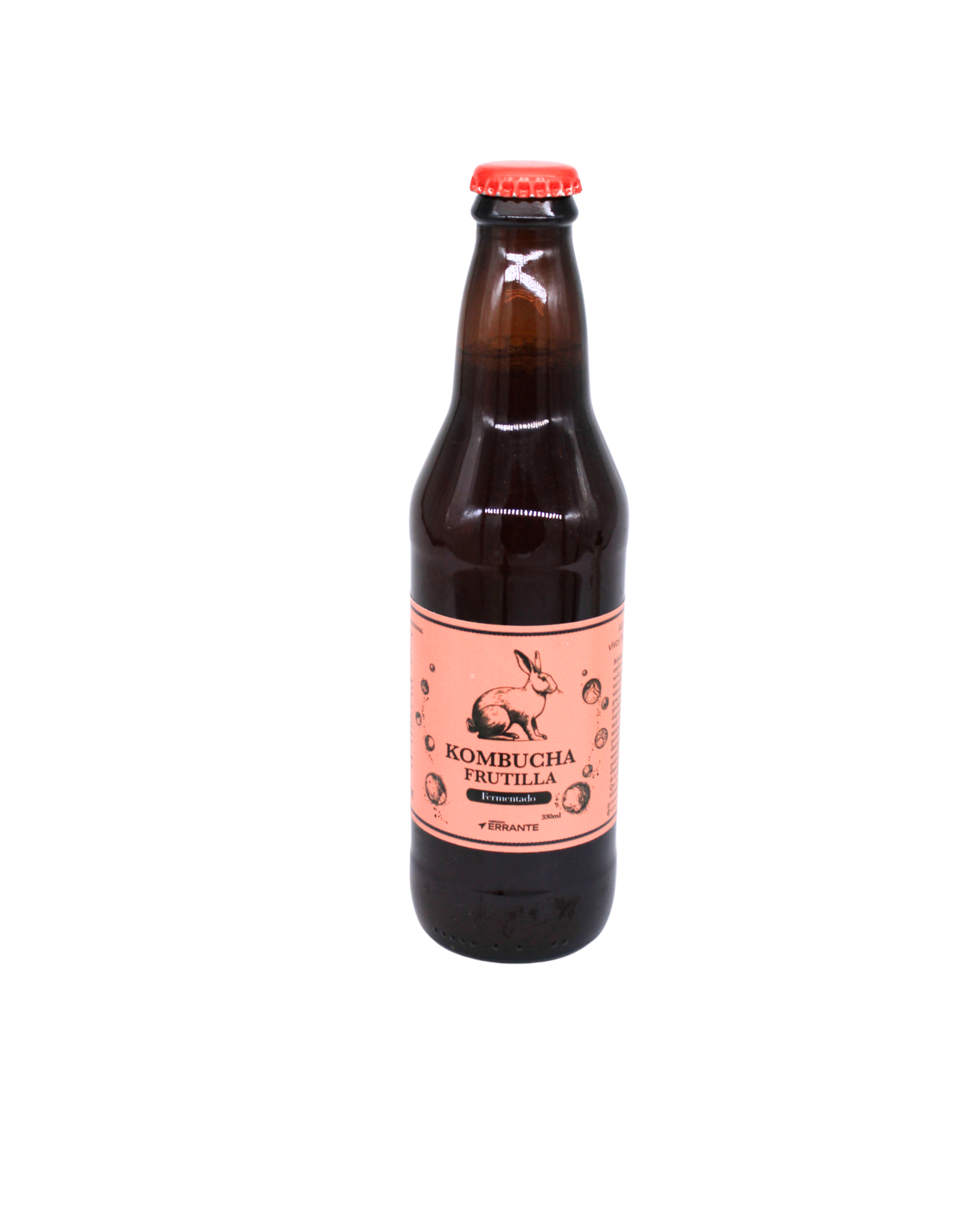 Pack probiótico Fermentados semanal