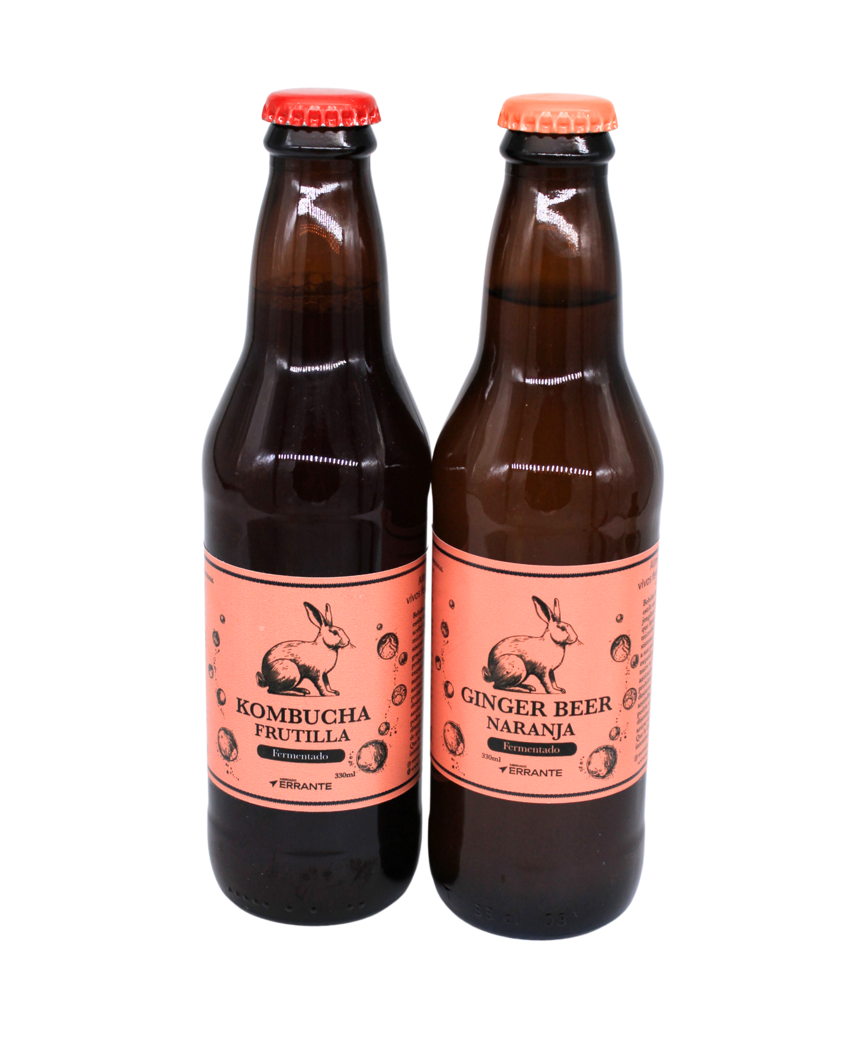 Ginger Beer Fermentada