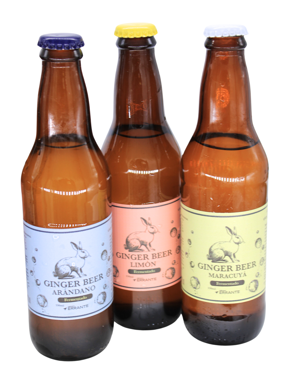 kombucha