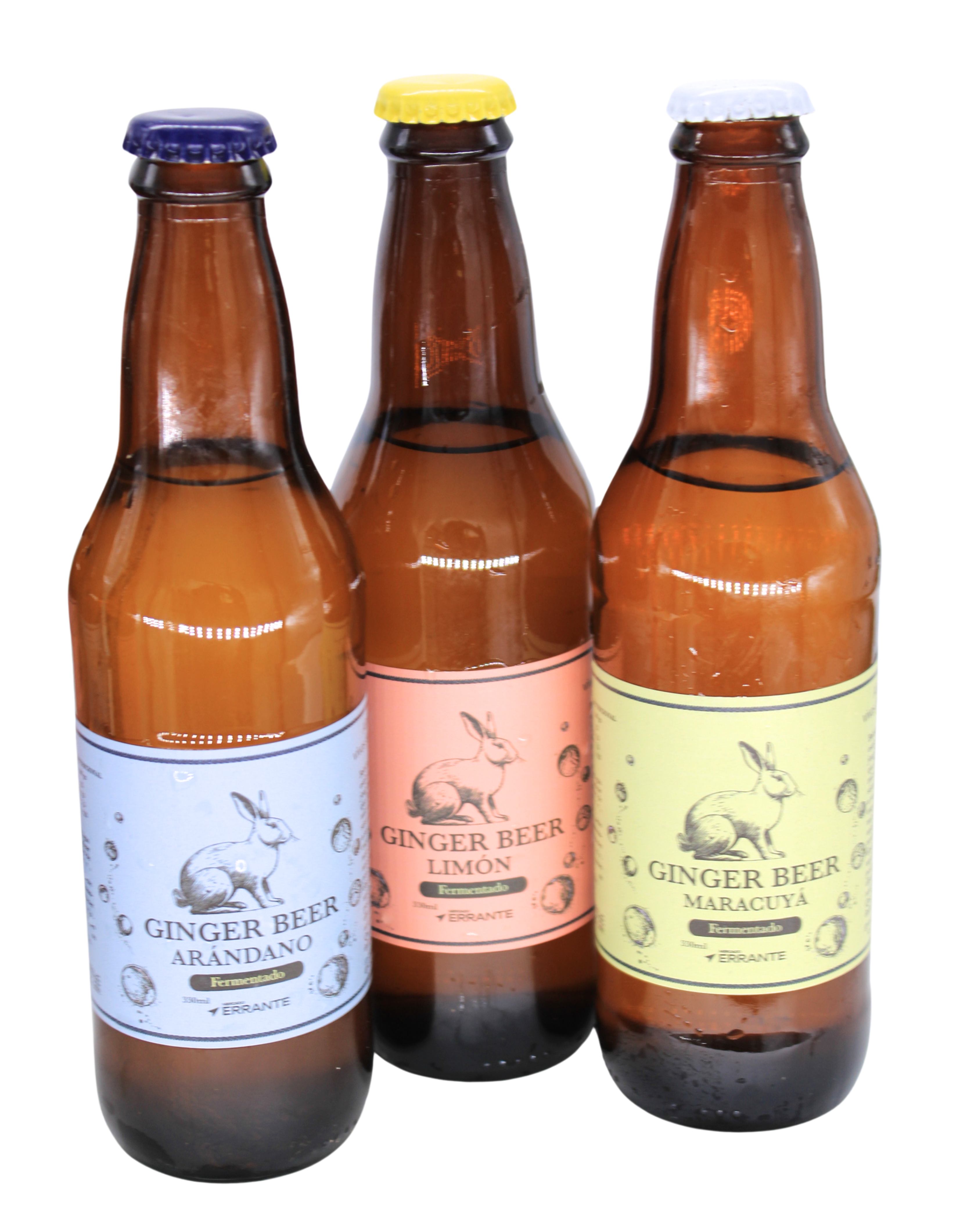 Ginger Beer Fermentada