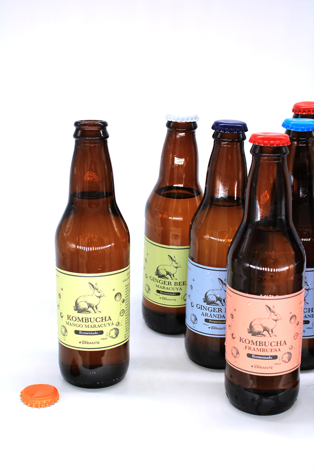 Ginger Beer Fermentada