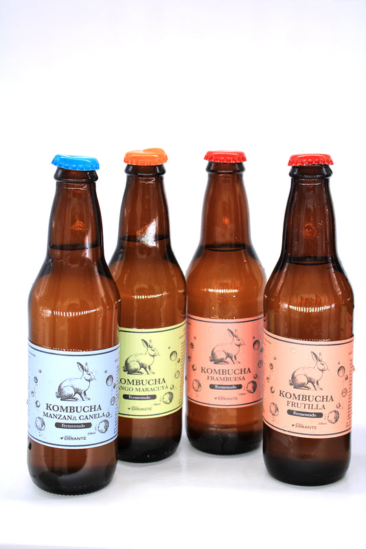 Ginger Beer Fermentada