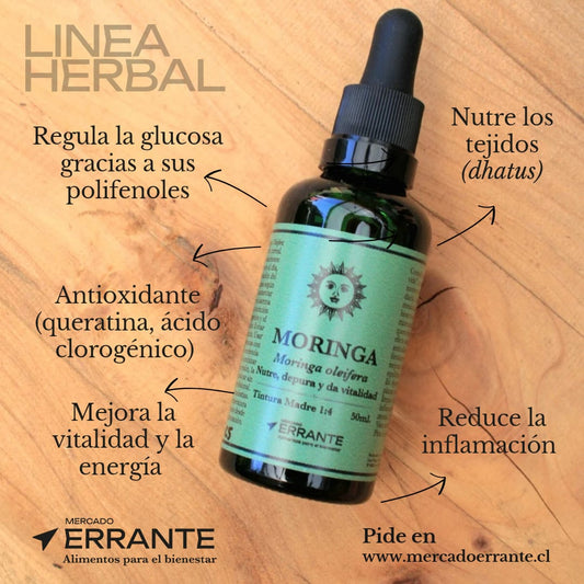 Moringa - vitalidad y nutrición