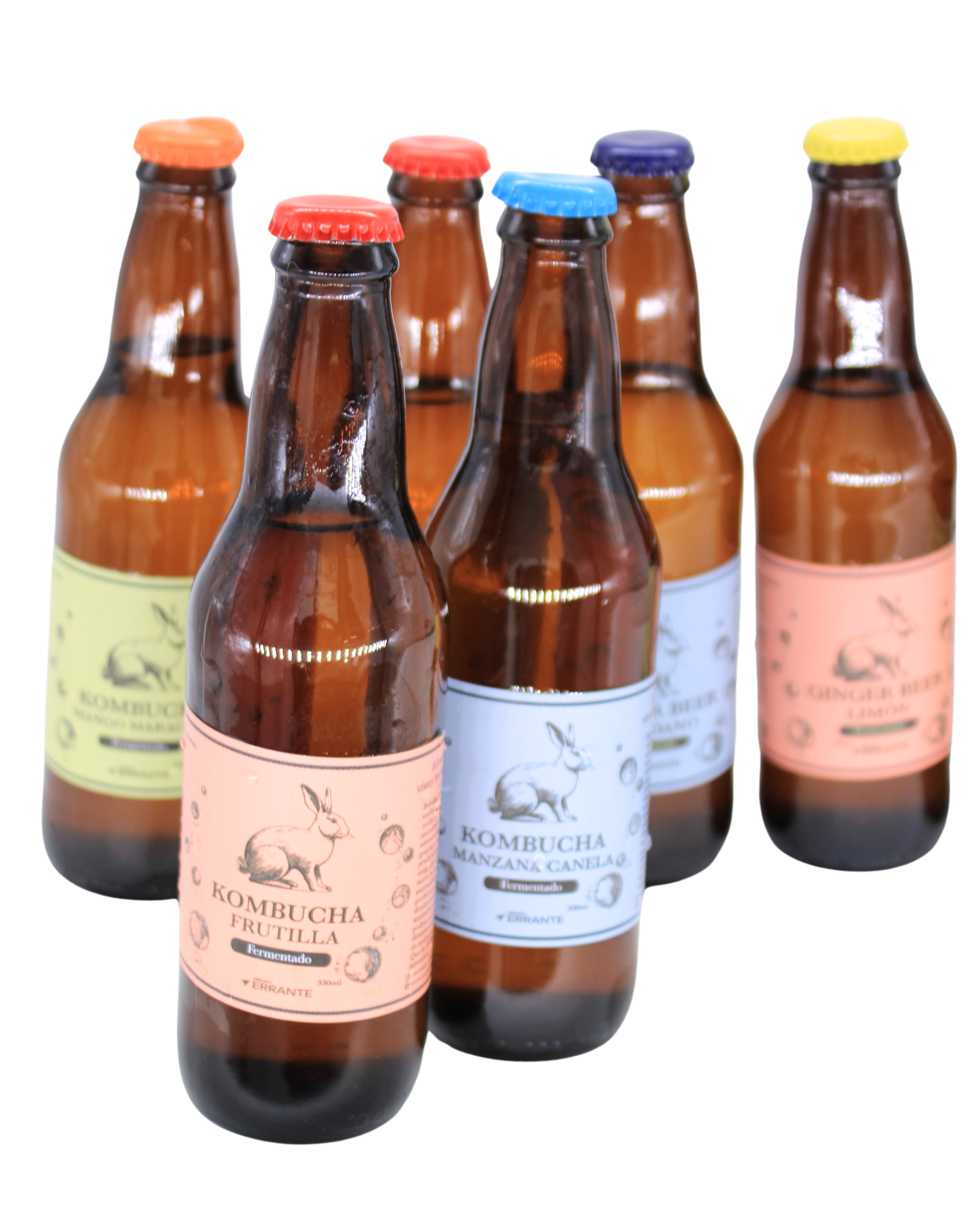 Ginger Beer Fermentada